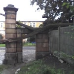Drzewo na bramie
